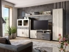 50491