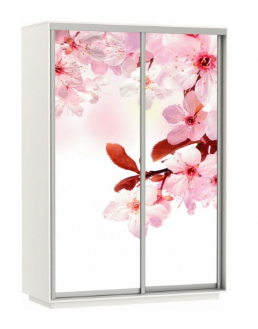 Шкаф-купе двухдверный Е1 Экспресс Дуо 1600х2200h Сакура/Белый снег