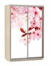 14414