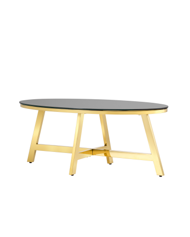 Журнальный стол Stool Group АЛЬБА 100x50 Золото стекло черное