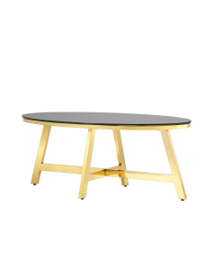 Журнальный стол Stool Group АЛЬБА 100x50 Золото стекло черное