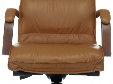 Кресло руководителя Бюрократ Бюрократ T-9927WALNUT Горчичный