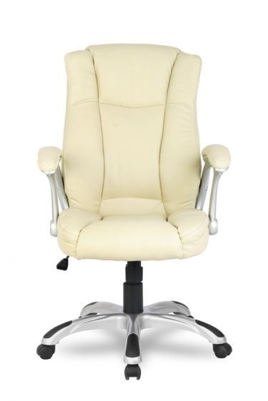Кресло руководителя College HLC-0631-1/Beige