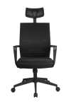 24484
