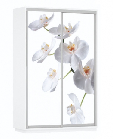 Шкаф-купе двухдверный Е1 Экспресс Дуо 1400х2200h Белая орхидея/Белый снег