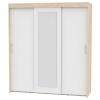 28829