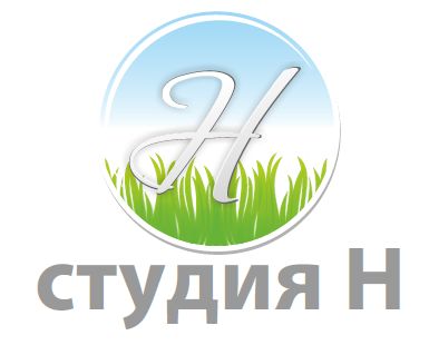 Студия Н (офисная мебель)