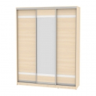 Шкаф-купе Аларти B-230х180х60-2ДМ-D9D10D9