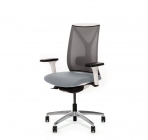 Кресло Profoffice DION W Mesh Gr 870 1DW alum Jade9502 Серый Хром