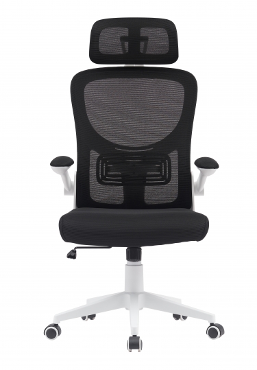 Компьютерное кресло Stool Group TopChairs Airone белый с черной сеткой