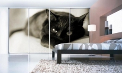 Фасады шкафов-купе