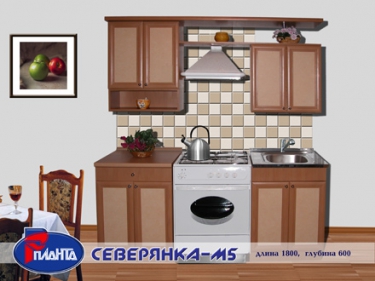 Мини-Кухня Северянка М5