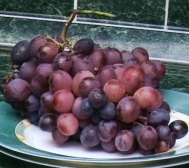 Кухня Жасмин