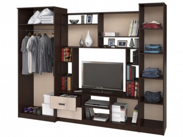 Гостиная BTS Флора Ясень Шимо тёмный светлый