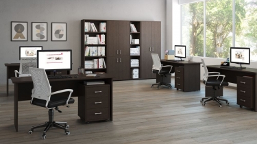 Гардероб POINTEX TRD29650201 Темный дуб