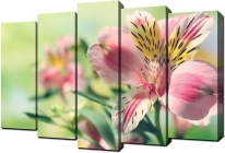 Модульная картина Toplight хсм Toplight TL-PM0010