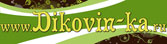 ДИКОВИН-КА