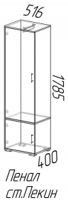 176667