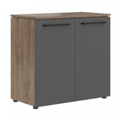 Шкаф с глухими малыми дверьми Skyland MORRIS TREND MLC 85.1 Антрацит Кария Пальмира