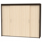 Шкаф-купе Аларти T-5-198х235х45Венге-ДМ-7