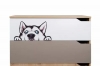 6969