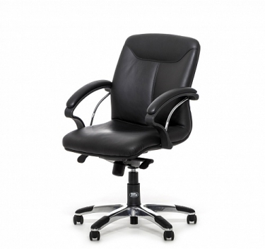 Maxus B Кресло для руководителя Profoffice ML99BL Bl/ MAS212 H/L