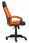 29981
