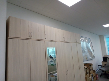 Антресоль Персона Грата Twin 16.13.131 Туя